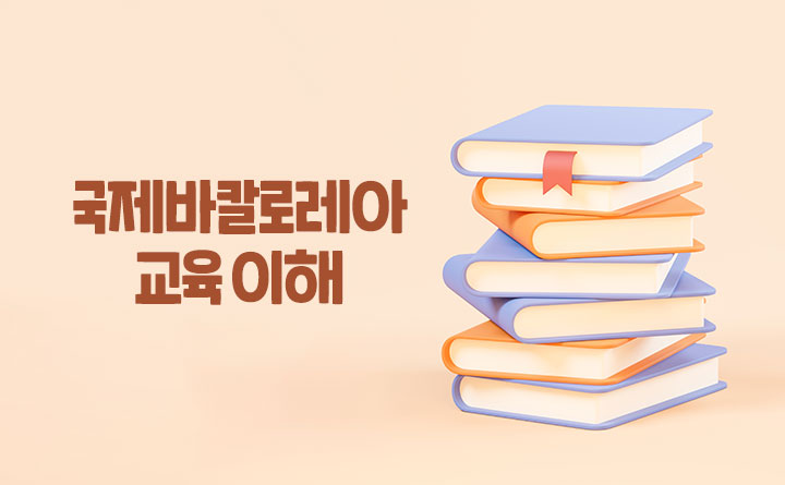 국제바칼로레아 교육, IB 프로그램의 이해