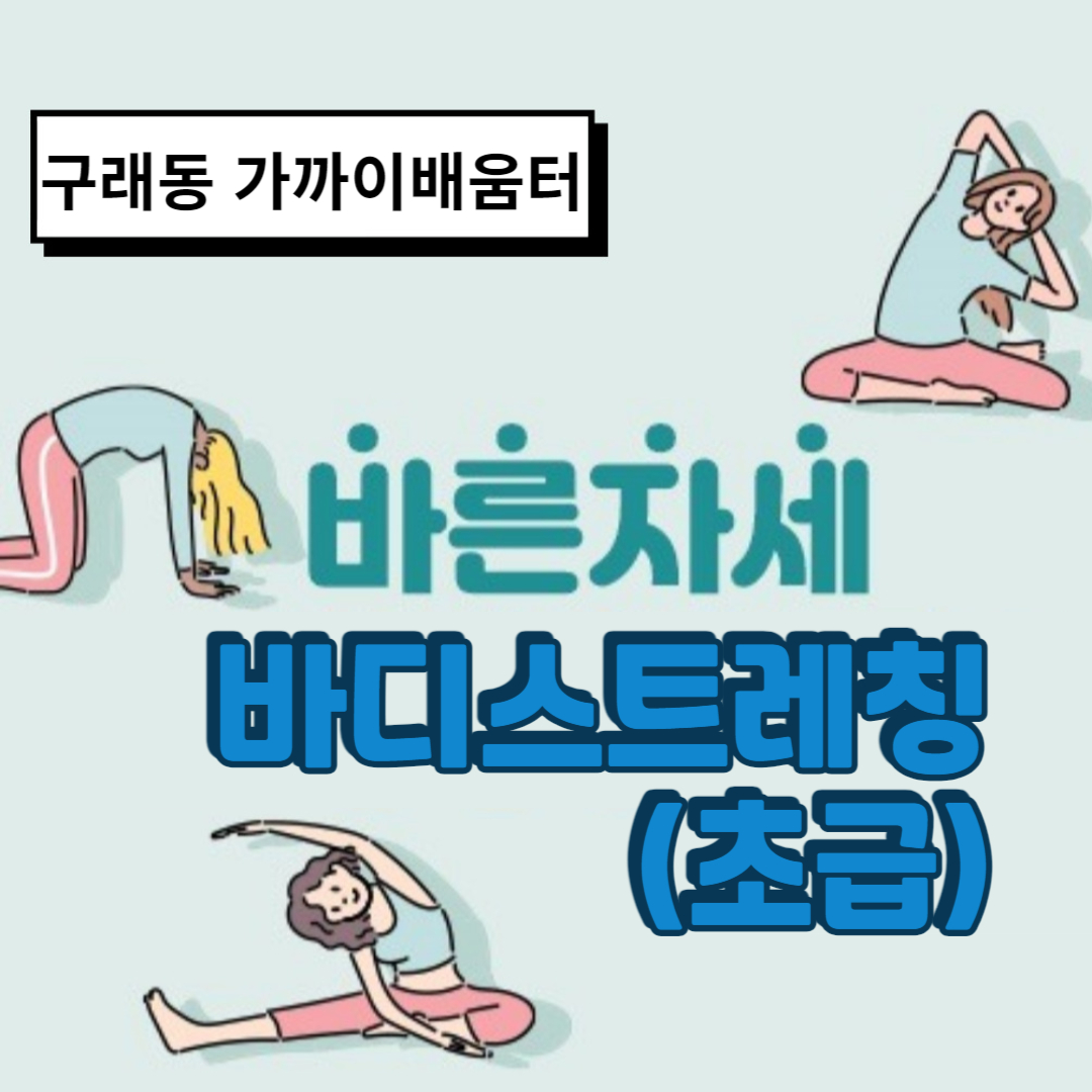 바디스트레칭
