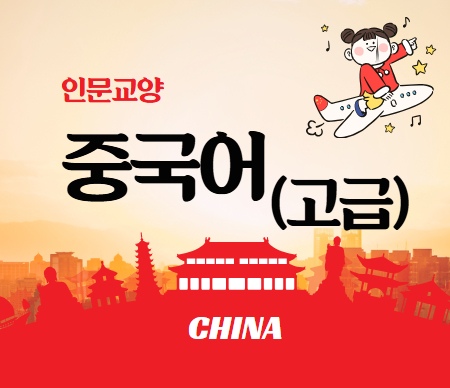 중국어(고급)